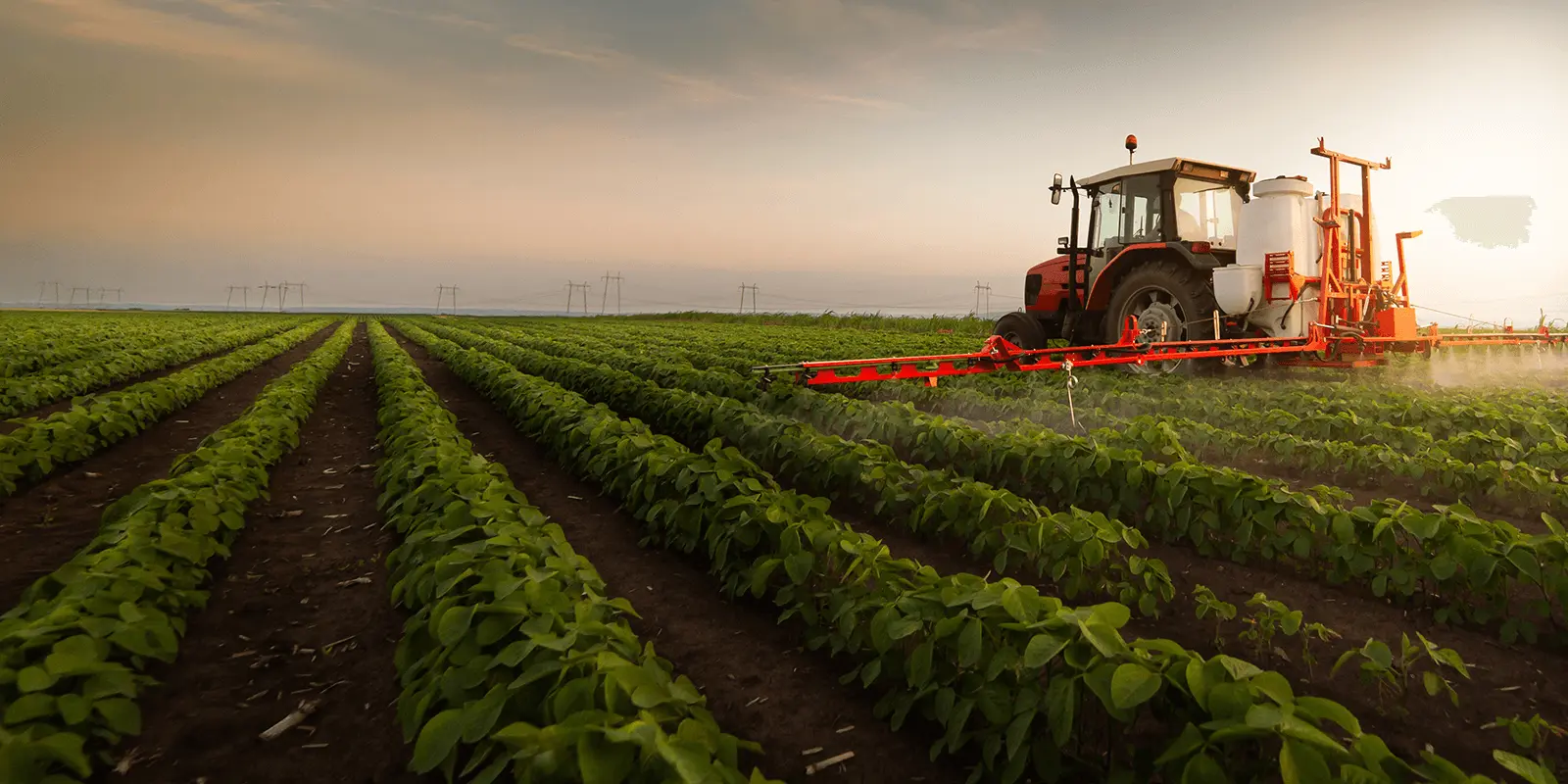 Tractor spraying crops on farm