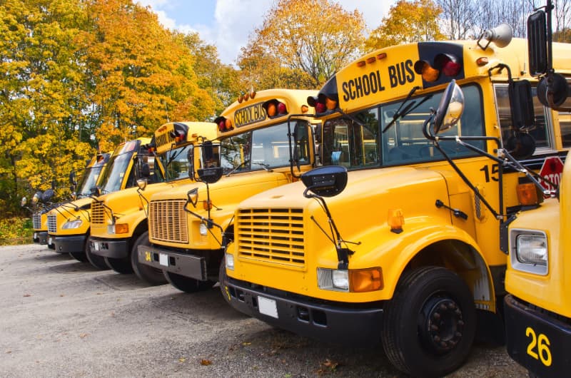 A row of school buses ready to pick up students.