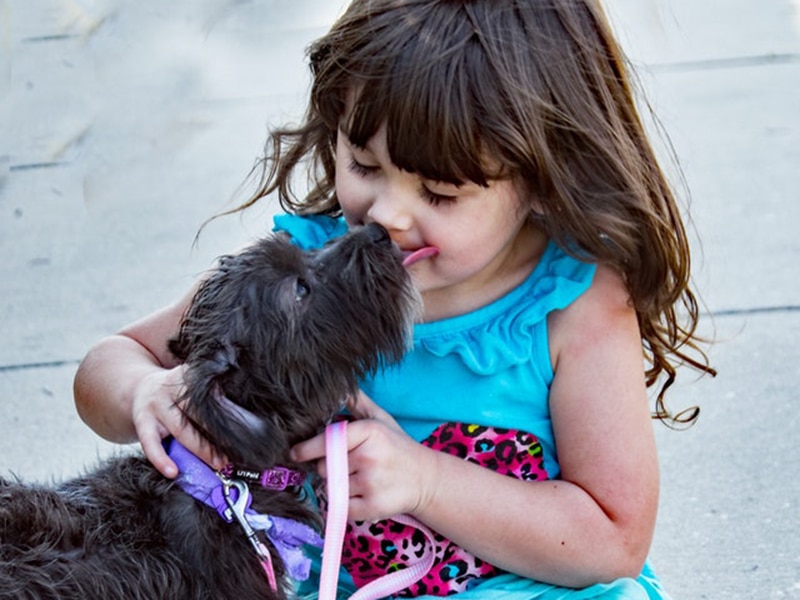 a little girl pets her new, little black dog