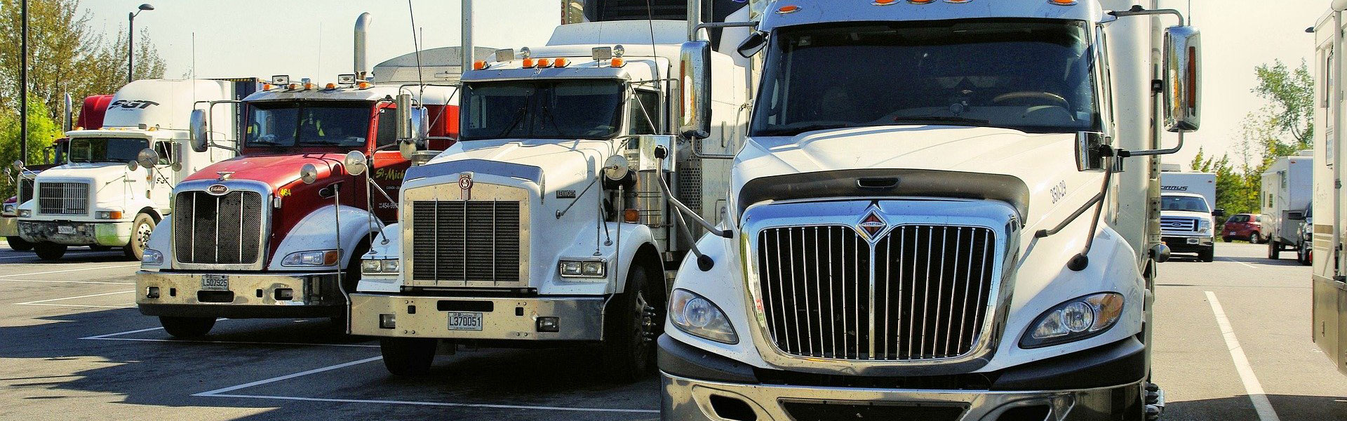 A row of semi-trucks sit in a parking lot