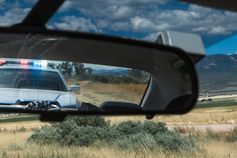 an officer pulls a driver over for using a cellphone