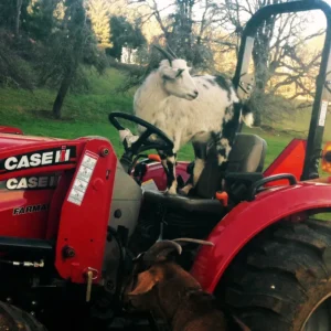 Yog-Sothoth de Andrew